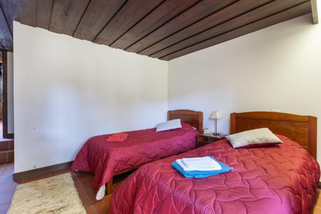Quinta S. Romao Do Neiva Holiday home